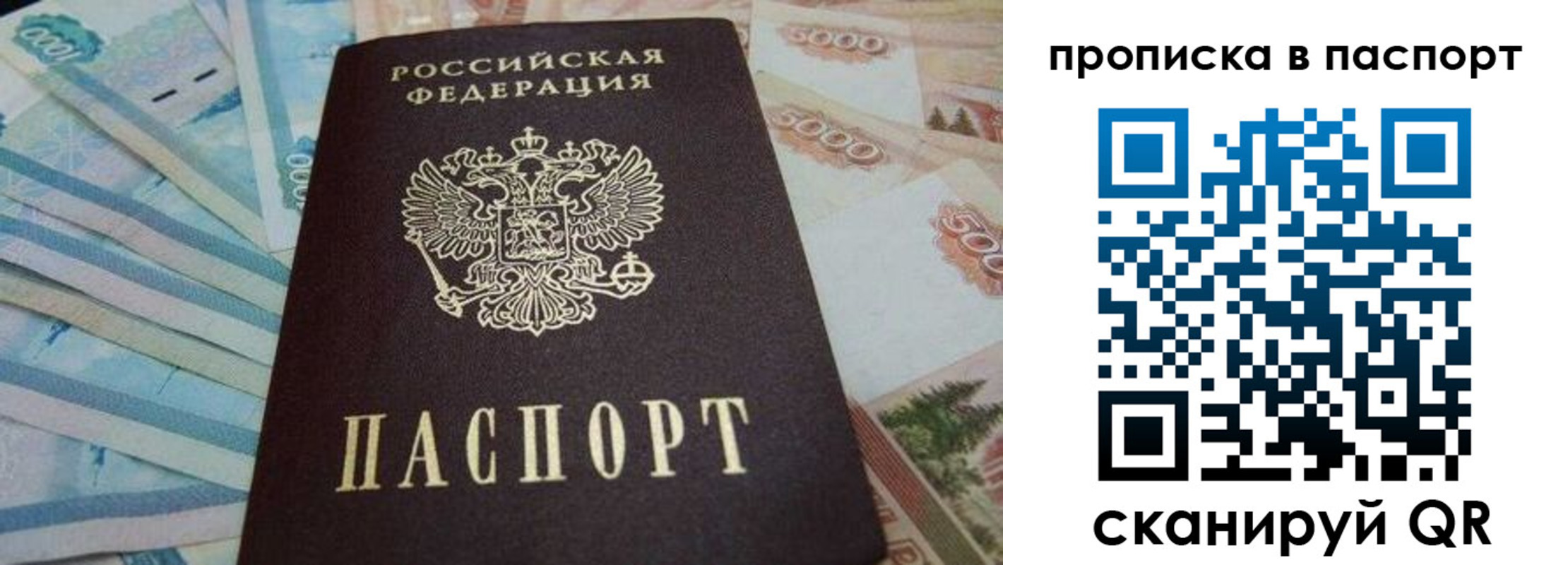 временная регистрация законно в Долгопрудном